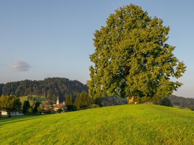 Schwellbrunn Nature Relaxation