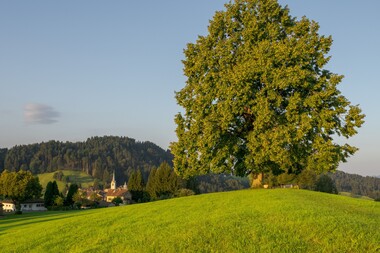 Schwellbrunn Natur Entspannung